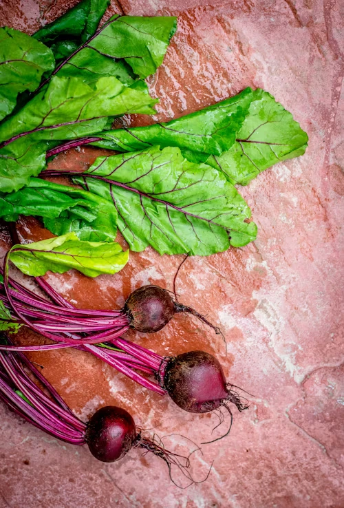 Bietensalade